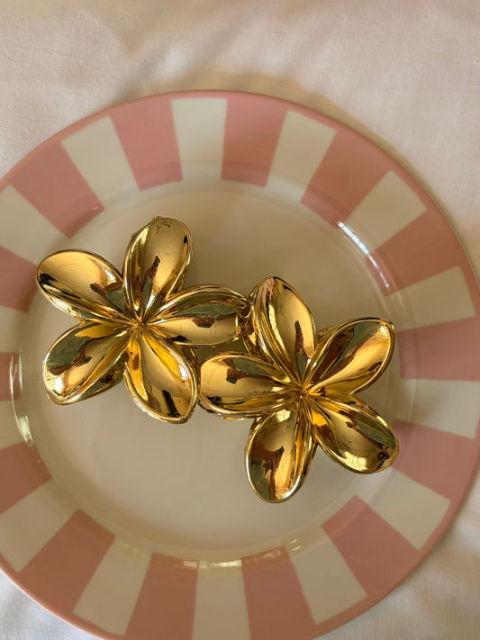 ZARA GOLDEN HAIR CLIP