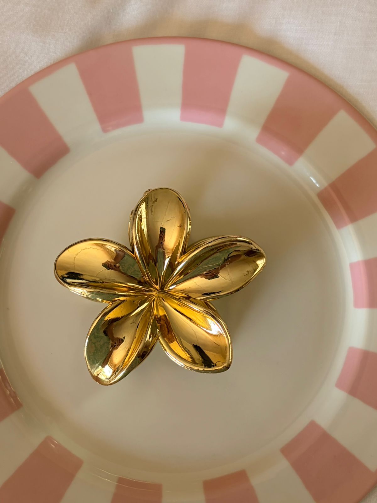 ZARA GOLDEN HAIR CLIP
